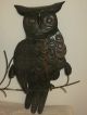 Vintage Wall Hanging Pair Of Tin Owls Wall Art Black Copper Tinge Metalware photo 5