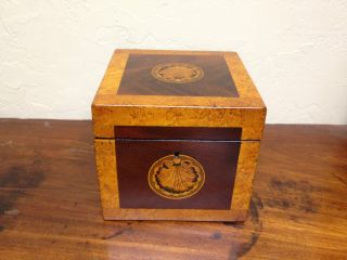 All Ca1820 Shell Inlay Tea Caddy Antique Box photo