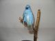 A Carved Bird Dated 1971 Carved Figures photo 5