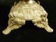 19th Century Polychrome Brass Ormolu Decorative Ewer With Cherub Face Metalware photo 9