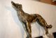 French Antique Art Deco Borzoi Greyhound Spelter Sculpture 1930 Lamps photo 5