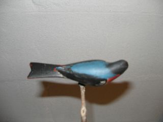 Late 19th C Pa Carved And Polychromed Bird photo