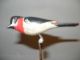 Late 19th C Pa Carved And Polychromed Bird Carved Figures photo 1