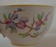 Minton Gilman Collamore Fifth Avenue Cup & Saucer C4551 Similar To Cuckoo Cups & Saucers photo 7