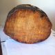 Vintage Antique Hand Carved Wood Folk Art Snuff Tobacco Box Cypress Tiger Rare Boxes photo 10