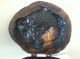 Vintage Antique Hand Carved Wood Folk Art Snuff Tobacco Box Cypress Tiger Rare Boxes photo 8