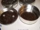 Tin Containers With Soldered Decoration 3 Pieces Metalware photo 1