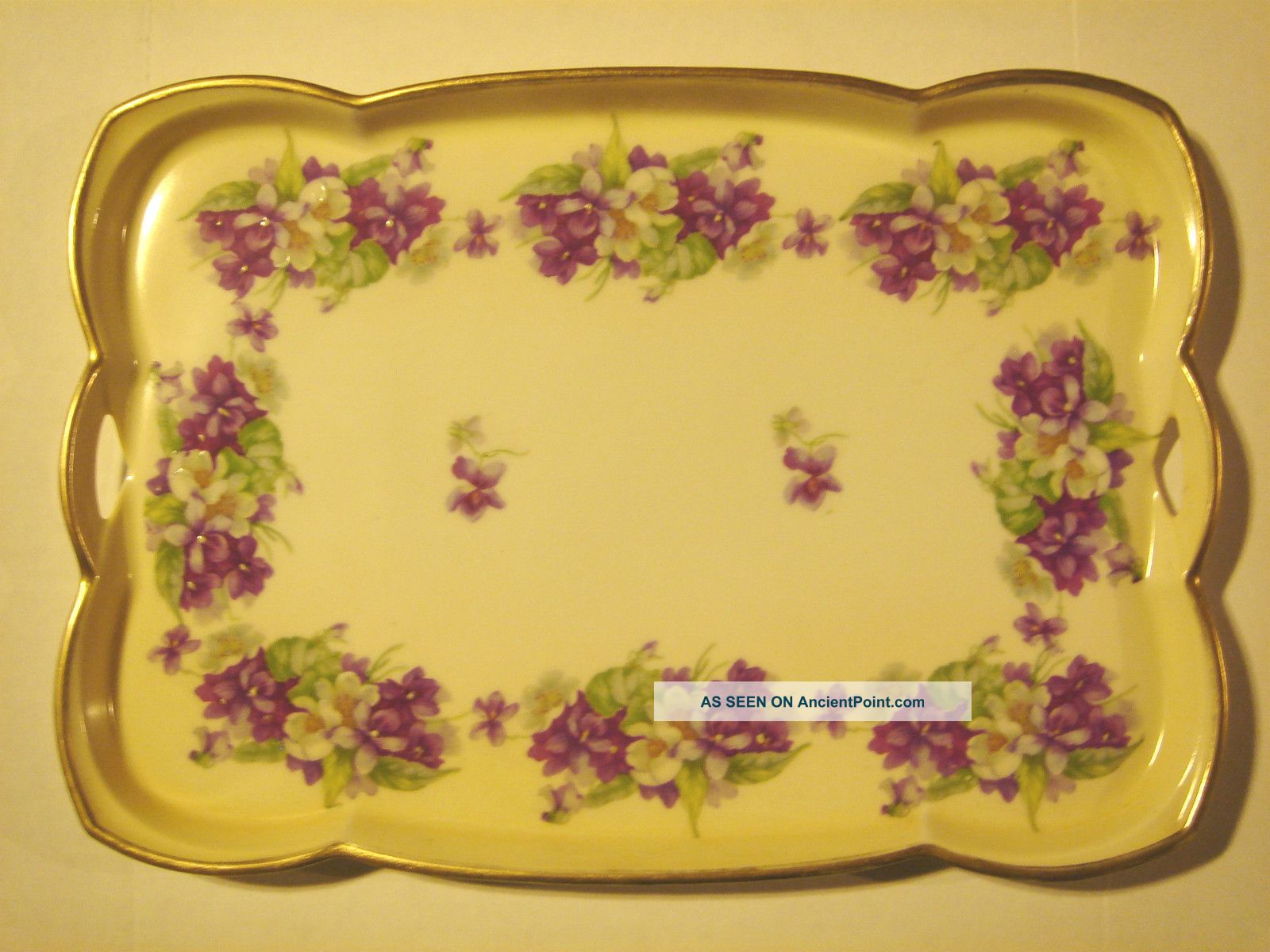 Carl Schlegelmilch Prussia Hand Painted 