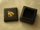 Vintage Wedgwood Black Bisque Jasperware Basalt Box Gold Gilt Griffin Egyptian Boxes photo 3