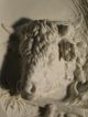 Antique Parian Plaque Victorian Aesthetic Shaggy Cow Head Raised England? Other photo 2