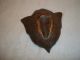 Bronze Butterfly Great Early Piece Metalware photo 3