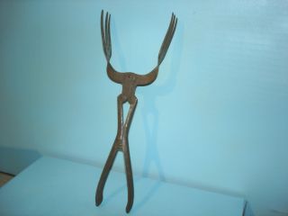 Primitive 1927 Duplex Mechanical Serving Fork,  Or Tongs,  Wire Spring Steel Tines photo