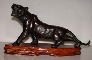 Meiji 1868 - 1912 Signed Japanese Bronze Figure Of Striped Tiger With Wood Base photo