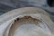 Antique Stoneware 1 Gallon Crock With Cobalt Bird. .  Brady & Craft Ellenville Ny Crocks photo 8