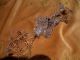 Antique Victorian England Perfume Bottle Scent Cut Crystal Vile $1 Perfume Bottles photo 8