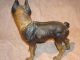 Hubley - Antique Boston Terrier Doorstop - And Piece Metalware photo 1