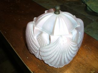 Southern Belle Glass Lamp Shade Le Smith Pink photo