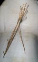 Antique Victorian Easel Frame Display Stand French Twist Wire Leaf Gold Metal Metalware photo 4