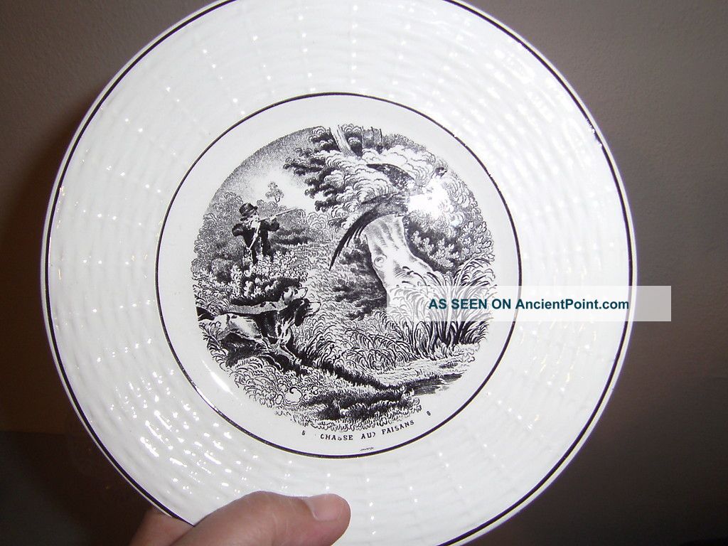 Digion Sarreguemines France Chasse Aud Faisans 19c Plate 7 