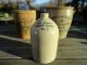 Antique Stoneware Quack Medicine Jug Wm.  Radams Crocks photo 9