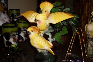 Cockatoo Figurines In Bright Yellow Single Bird & Two Birds photo
