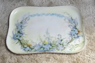 Plainemaison Limoges Dresser Tray - Floral - Artist Signed Late 1800 ' S/early 1900 ' S photo