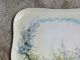 Plainemaison Limoges Dresser Tray - Floral - Artist Signed Late 1800 ' S/early 1900 ' S Platters & Trays photo 2