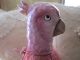 Very Unique Victorian Era Pink Porcelain Parrot With Pink Whisk Broom 7 