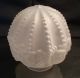 Antique Glass Ball Lamp Shade Satin Embossed Roses 2 1/2 Inch Fitter Chipped Lamps photo 1