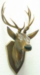 Vintage Black Forest Carved Deer Head 1960 ' S Carved Figures photo 1