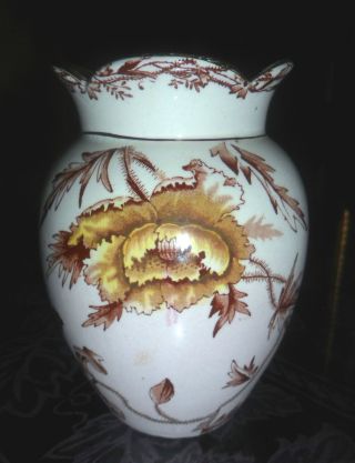 Rare Antique Vase M.  L.  & Co.  Duchess England C.  1892 - 6 - Moore Leason & Co. photo