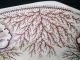 Antique Mulberry Plate - 9 - 1/2 
