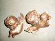 Pair Antique Gilded Wood Carved Angels Carved Figures photo 2