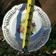 Ribbon Plates 2 Porzellan Imperial Germany Plates & Chargers photo 5