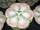 Antique French Majolica Luneville Oyster Plate Pink Green White Plates & Chargers photo 1