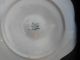 Antique French Majolica Luneville Oyster Plate Pink Green White Plates & Chargers photo 3