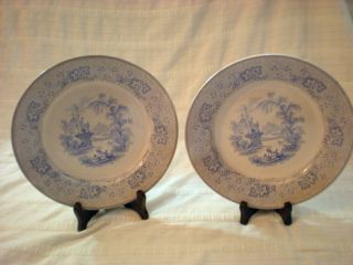 T & J Mayer Longport England Nonpareil Dinner Plate Antique 1842 - 1855 Flow Blue photo
