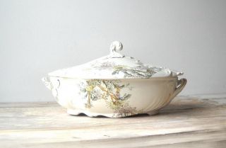 Antique John Edwards Porcelain Covered Vegetable Bowl Chrysanthemum photo