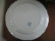 Antique Copeland Spode Seasons Blue & White Transferware Dinner Plate Plates & Chargers photo 8