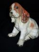 Vintage Porcelain Or Ceramic Puppy Dog Figurine Figurines photo 4