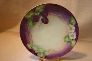Antique Bavarian Hand Painted J And C Maker,  Signed Mb Tyler,  Berries In A Bunch photo