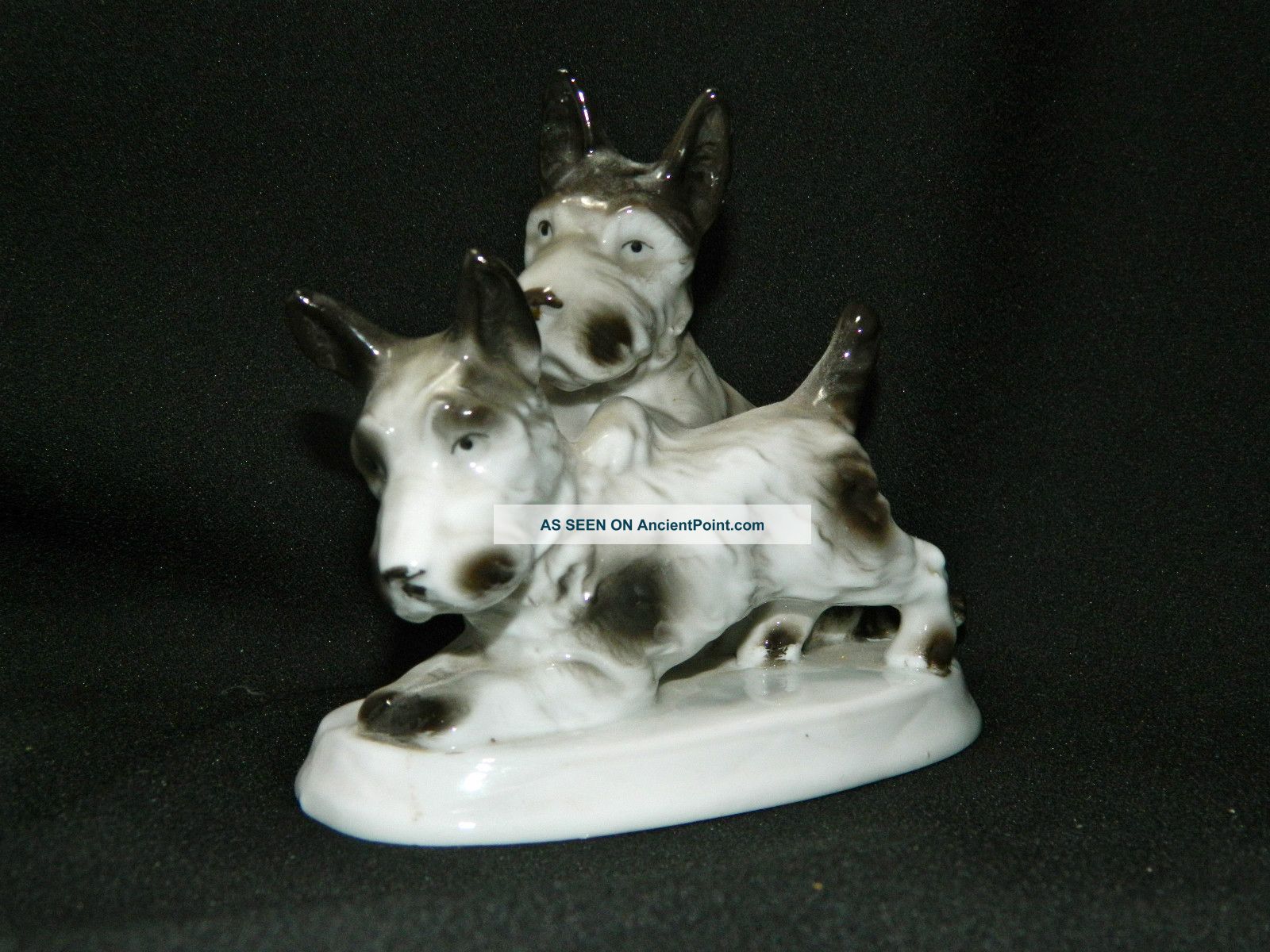Carl Scheidig - Graefenthal Porcelain Pair Of Scottish Terriers Germany 1906 - 35 Figurines photo