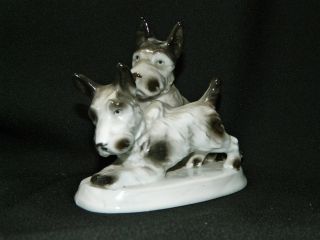 Carl Scheidig - Graefenthal Porcelain Pair Of Scottish Terriers Germany 1906 - 35 photo
