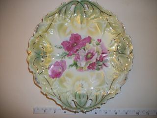 Antique Or Vintage Wild Roses Ipf Germany Plate photo