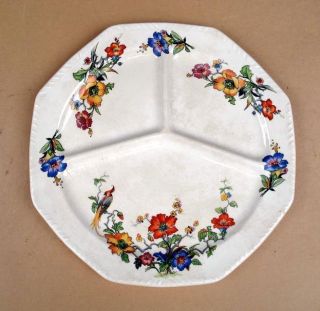 Antique C.  C.  Thompson Pottery Co Madison 3 - Section Divided Plate Parrot Floral photo