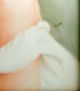 Porcelain Portrait Plaque - 20th Century 8 