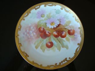 Rare Pickard Studios Haviland Limoges,  Hand Painted Plate,  Signed Rean,  8 1/2 