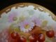Rare Pickard Studios Haviland Limoges,  Hand Painted Plate,  Signed Rean,  8 1/2 