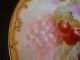 Rare Pickard Studios Haviland Limoges,  Hand Painted Plate,  Signed Rean,  8 1/2 