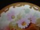 Rare Pickard Studios Haviland Limoges,  Hand Painted Plate,  Signed Rean,  8 1/2 